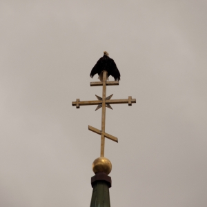 DSC_7171