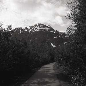 alaskaBW-100