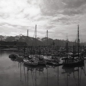 alaskaBW-101