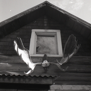 alaskaBW-102