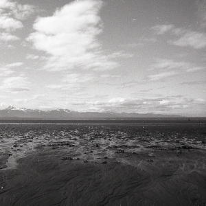 alaskaBW-104