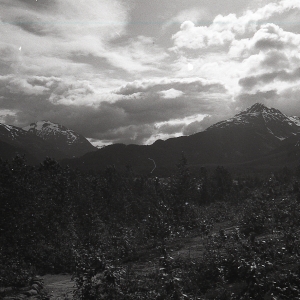 alaskaBW-111