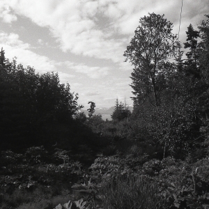 alaskaBW-113