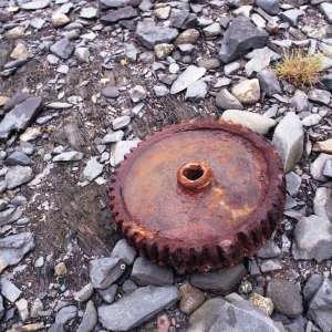 alaskaC41-104
