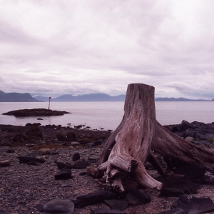 alaskaC41-121