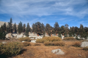 000064480012