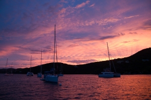 bvi_D90-full-3938