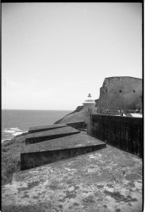 bvi_nikon_BW-WEB-002