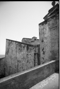 bvi_nikon_BW-WEB-004