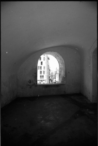bvi_nikon_BW-WEB-005