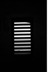 bvi_nikon_BW-WEB-006