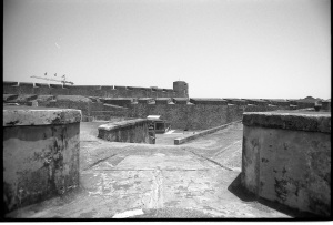 bvi_nikon_BW-WEB-013