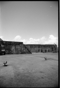 bvi_nikon_BW-WEB-014