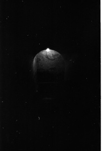 bvi_nikon_BW-WEB-015