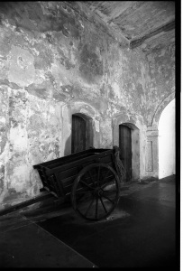 bvi_nikon_BW-WEB-016