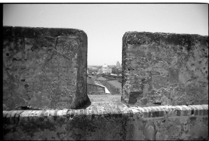 bvi_nikon_BW-WEB-018