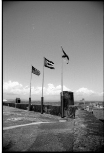 bvi_nikon_BW-WEB-020