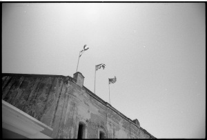 bvi_nikon_BW-WEB-022