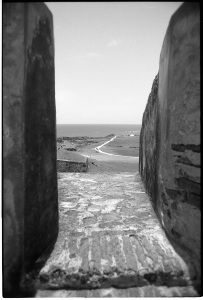 bvi_nikon_BW-WEB-023