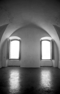 bvi_nikon_BW-WEB-024