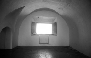 bvi_nikon_BW-WEB-025