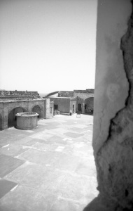 bvi_nikon_BW-WEB-027