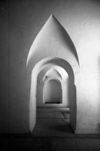 bvi_nikon_BW-WEB-028