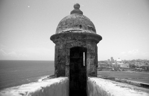 bvi_nikon_BW-WEB-029