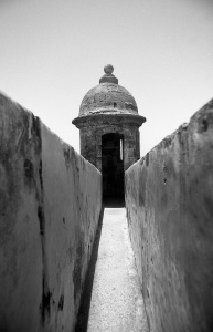 bvi_nikon_BW-WEB-030