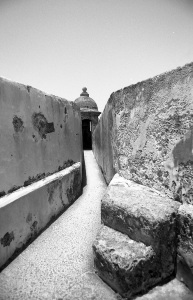 bvi_nikon_BW-WEB-031