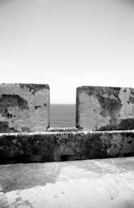 bvi_nikon_BW-WEB-032