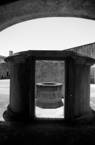 bvi_nikon_BW-WEB-034
