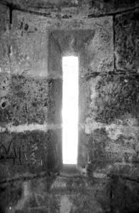 bvi_nikon_BW-WEB-036