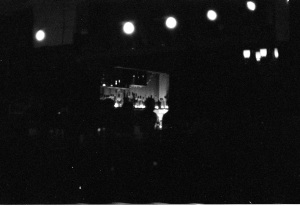 bvi_nikon_BW-WEB-053