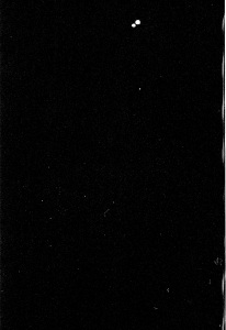 bvi_nikon_BW-WEB-054