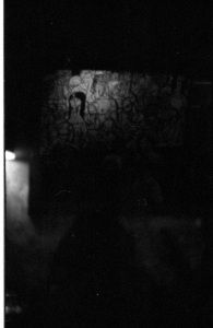bvi_nikon_BW-WEB-055