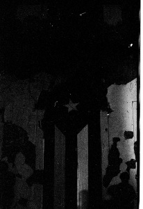 bvi_nikon_BW-WEB-059