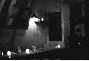 bvi_nikon_BW-WEB-060
