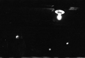 bvi_nikon_BW-WEB-065