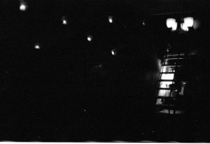 bvi_nikon_BW-WEB-066