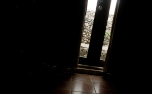 bvi_nikon_C41-web-001
