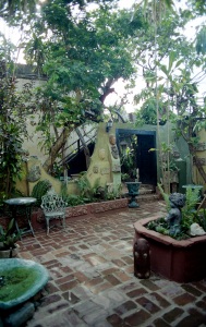 bvi_nikon_C41-web-003