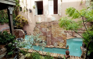 bvi_nikon_C41-web-005