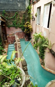 bvi_nikon_C41-web-006