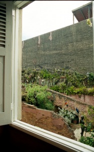 bvi_nikon_C41-web-008