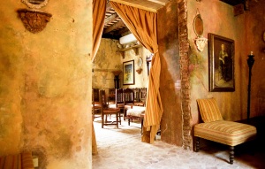bvi_nikon_C41-web-011
