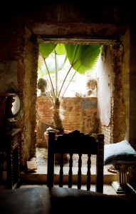 bvi_nikon_C41-web-012