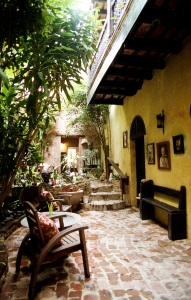 bvi_nikon_C41-web-014