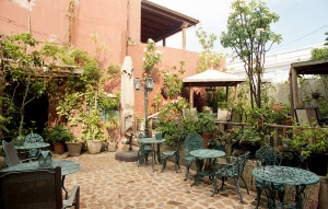 bvi_nikon_C41-web-016