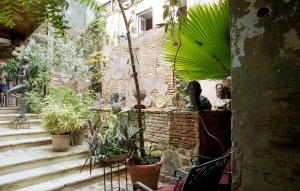 bvi_nikon_C41-web-017